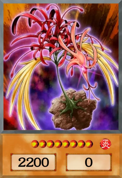 Phoenixian Cluster Amaryllis